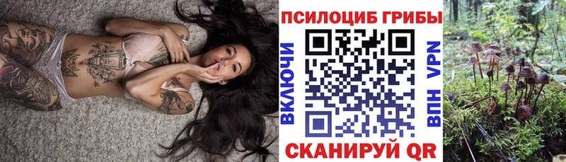 Псилоцибиновые грибы мухоморы Камень-на-Оби