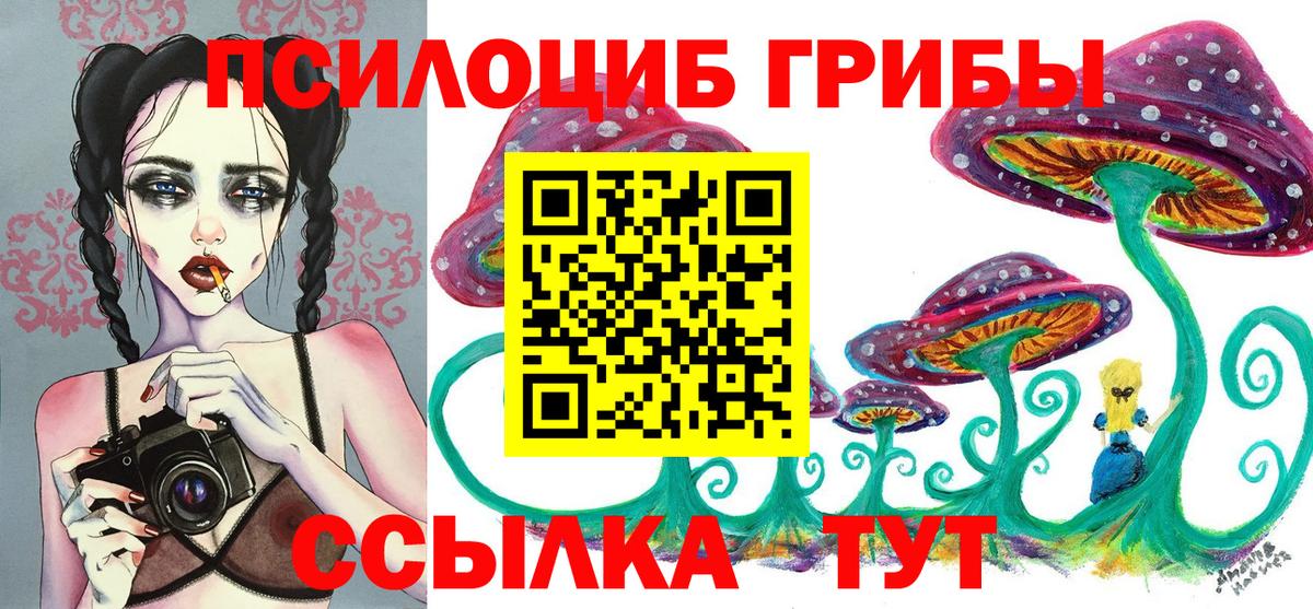 Псилоцибиновые грибы мухоморы Камень-на-Оби